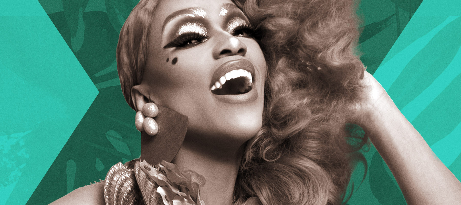 The Vixen