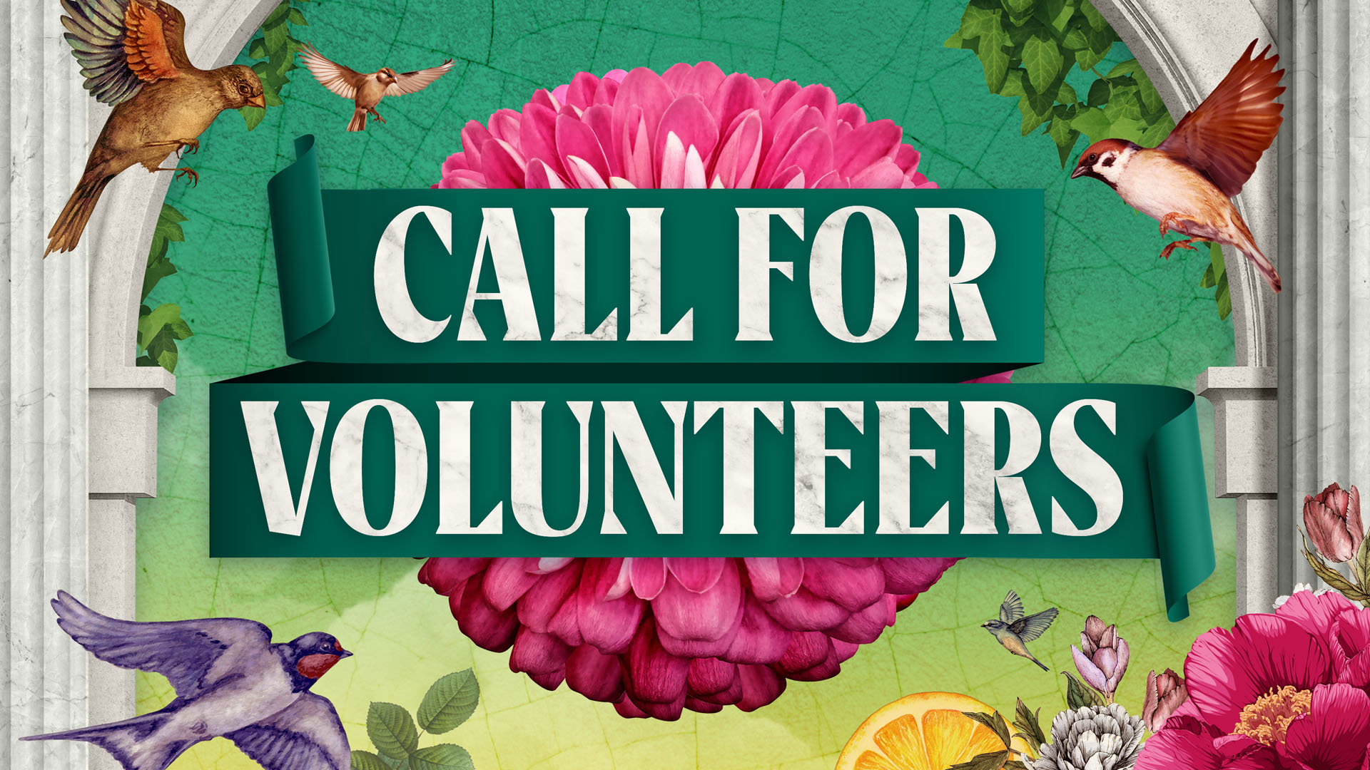 Volunteer