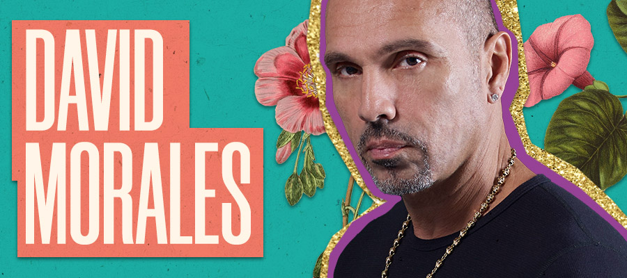 David Morales