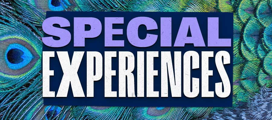 Special Experiences